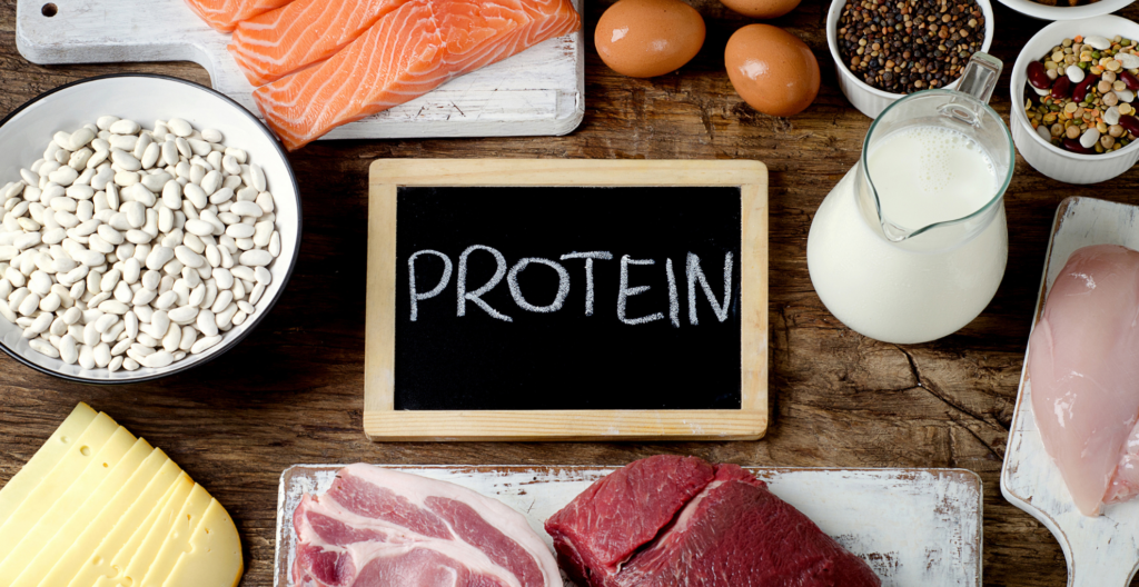 protein heading image