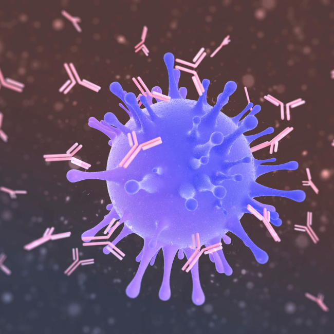 image of a small  virus cell splitting 