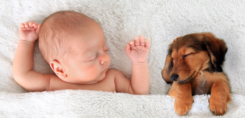 baby and a dog sleeping side by side